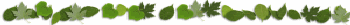 Windermere Holiday Lodge - leafline